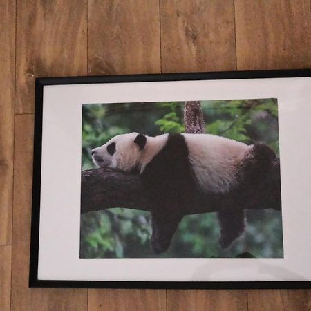 A 4 Min Du Zoo De Beauval La Maison A Partager Ch2 1Er Etage Saint-Aignan  Exteriör bild