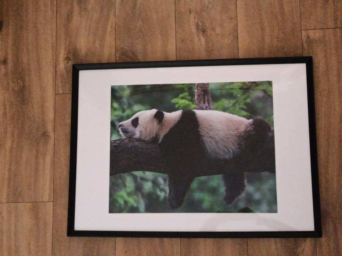 A 4 Min Du Zoo De Beauval La Maison A Partager Ch2 1Er Etage Saint-Aignan  Exteriör bild