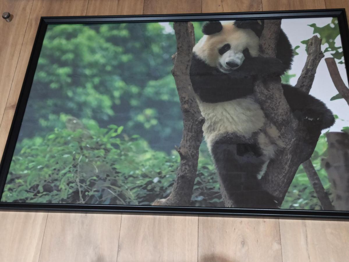 A 4 Min Du Zoo De Beauval La Maison A Partager Ch2 1Er Etage Saint-Aignan  Exteriör bild